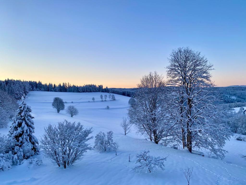 Gaestehaus Steiert Fewo Kuhbergblick Lenzkirch Exterior foto